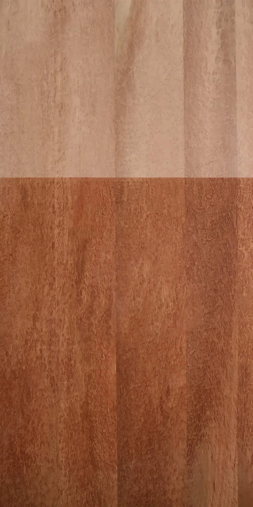Eucalyptus Pomelle Panello main