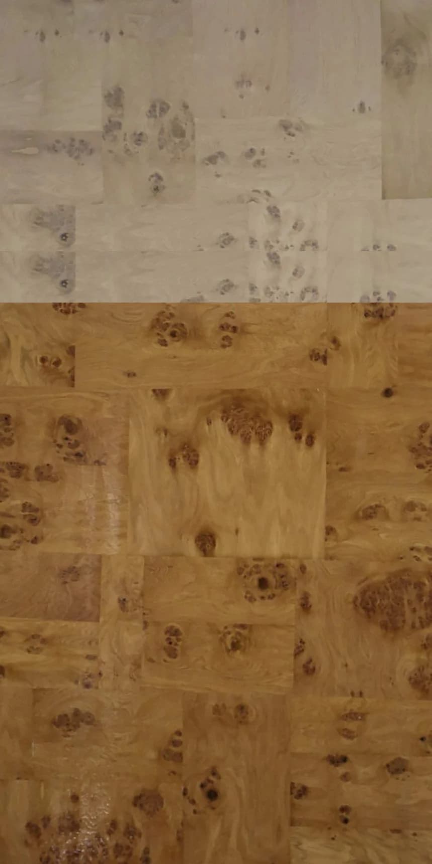 Stone Oak Burl main