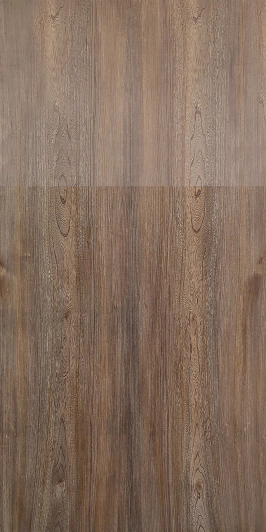 Torched Elm main