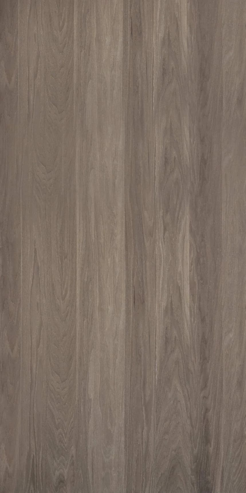 Limed Tan Oak Open Grains Panello main