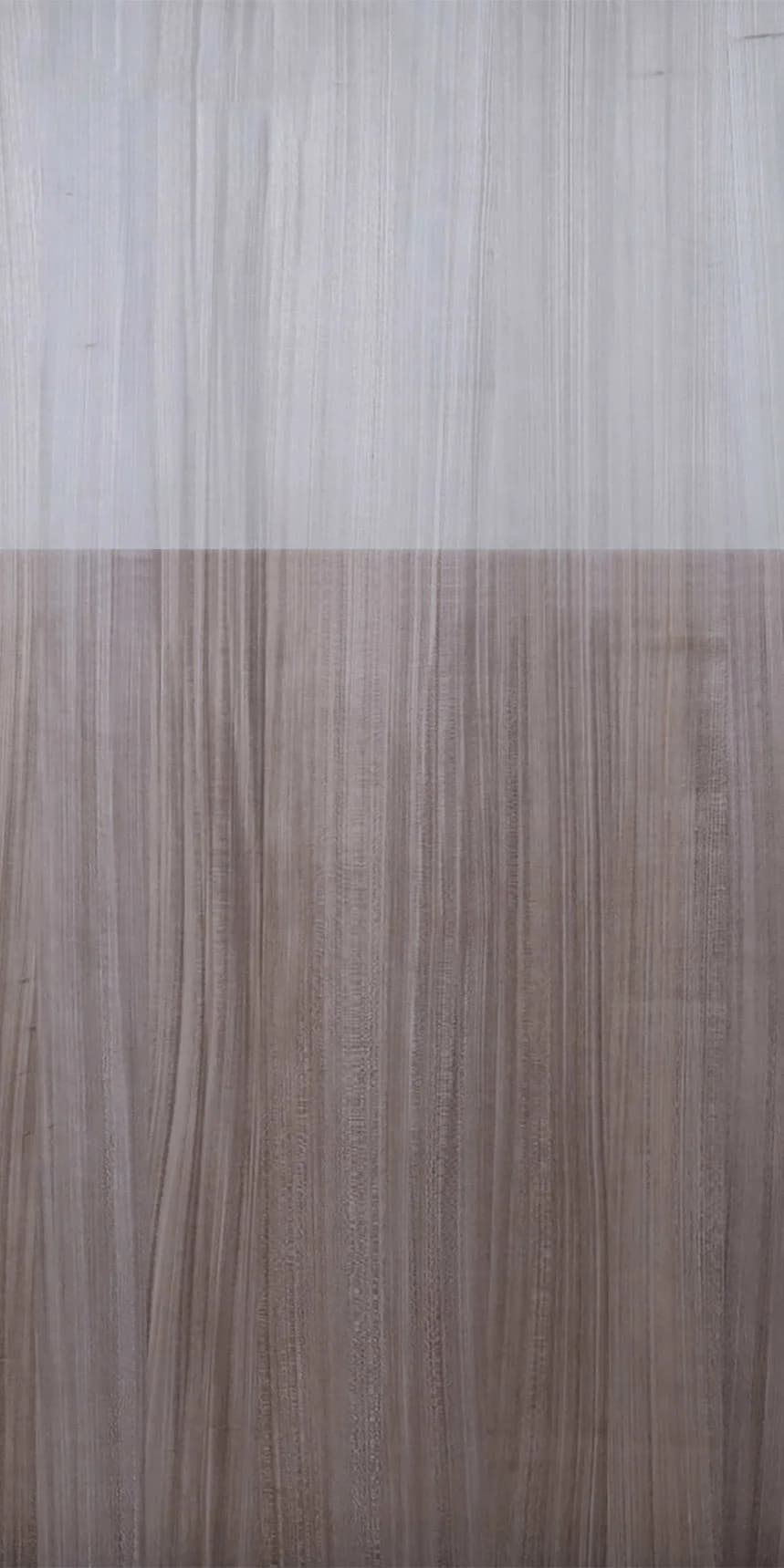 Dyed Koto 7026 main