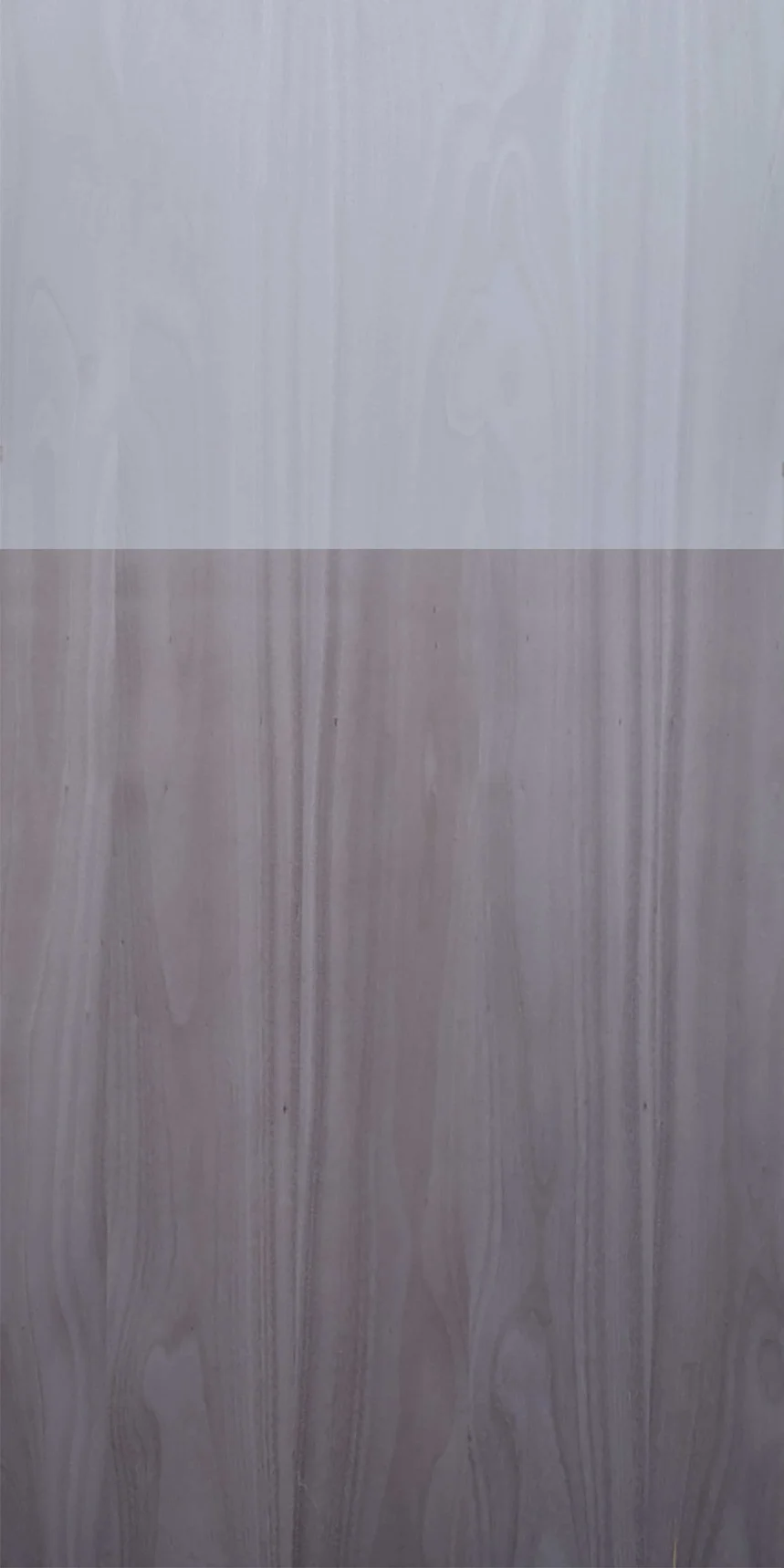 Dyed Koto 7064 main