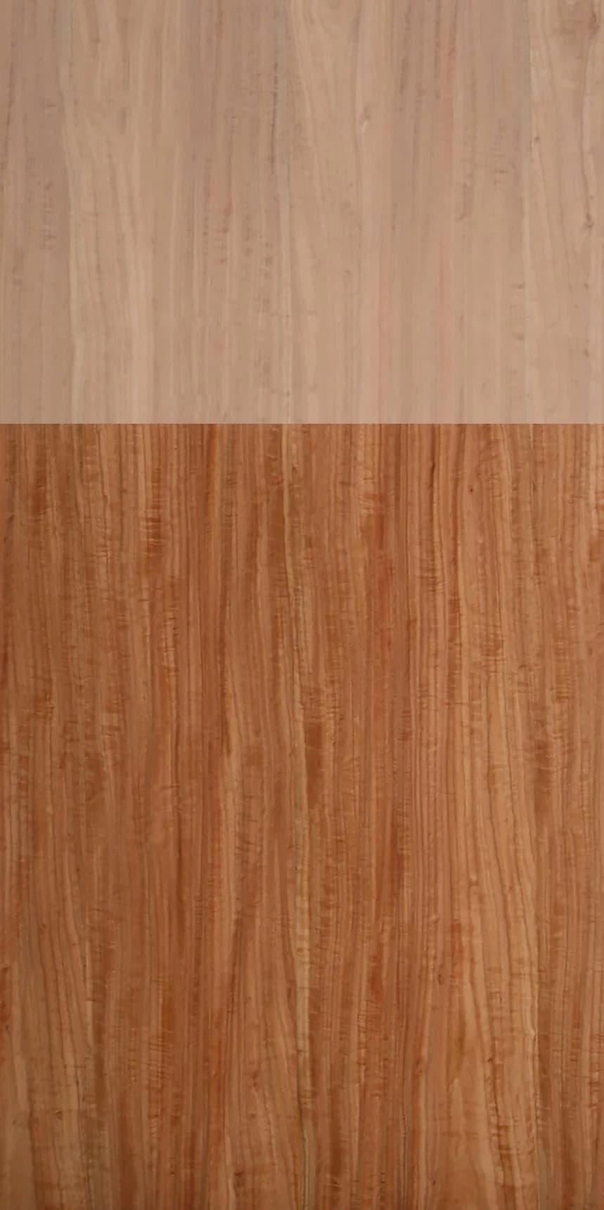Figured Eucalyptus Panello main
