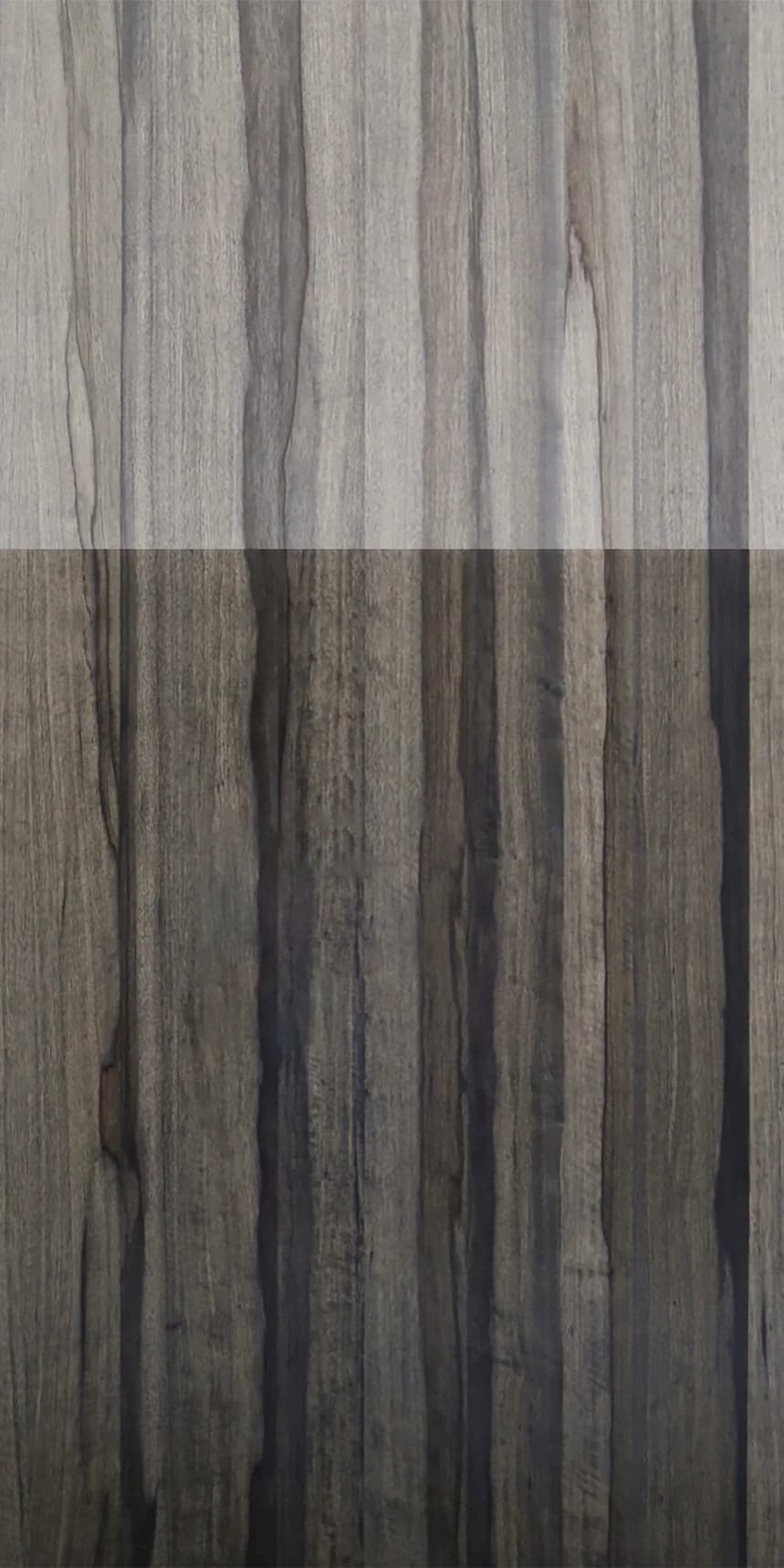 Black Locust Panello main