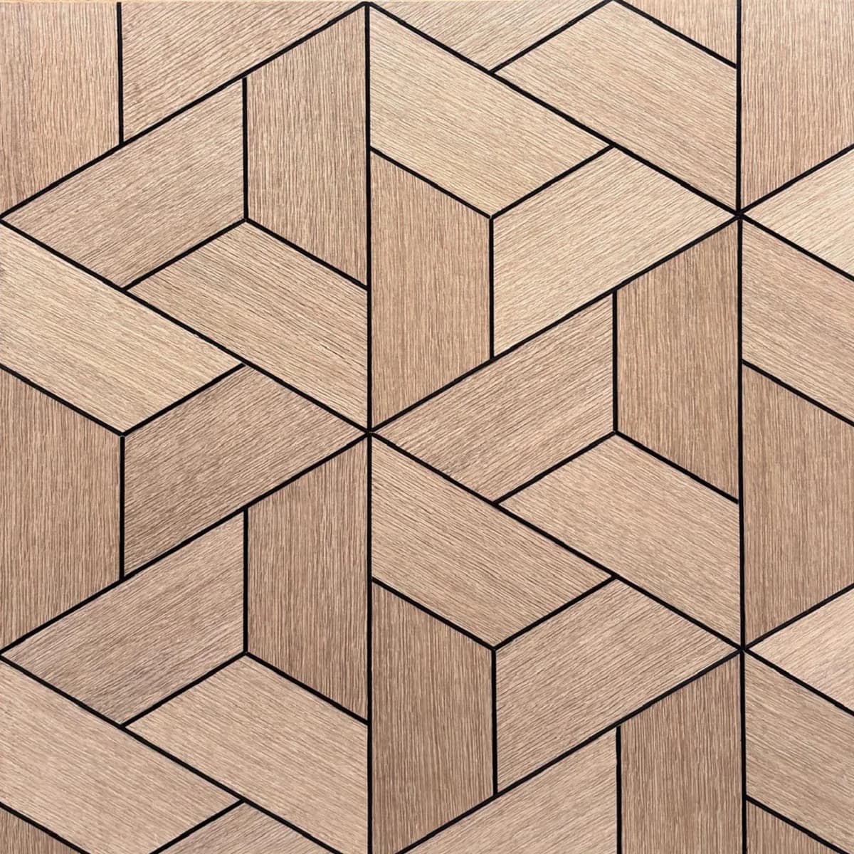 Marquetry — Interlocking Hexagon Parquetry main